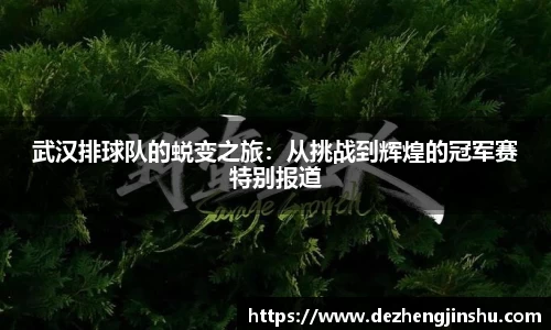 武汉排球队的蜕变之旅：从挑战到辉煌的冠军赛特别报道