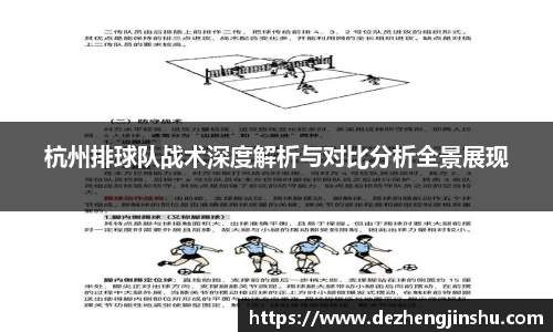 杭州排球队战术深度解析与对比分析全景展现
